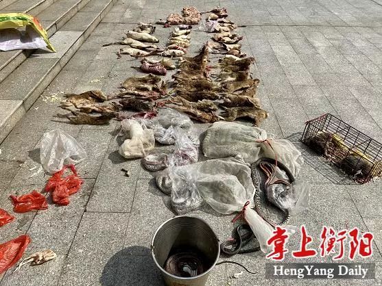 微信截圖